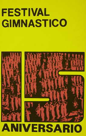 Festival Gimnástico 15 aniversario