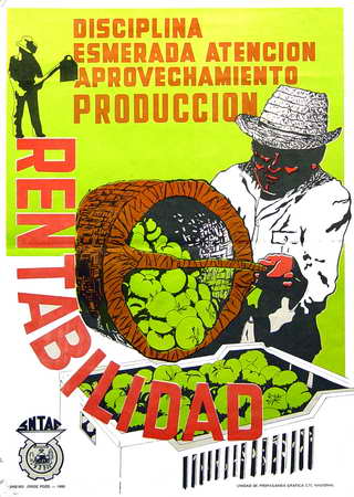 Disciplina. Esmerada atención. Aprovechamiento. Producción. RENTABILIDAD. SNTAF