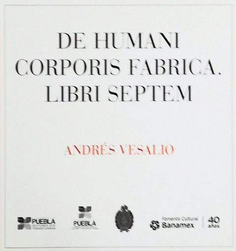 Foto de Entregado a la Biblioteca Nacional Facsímil del libro Humammi Corporis Fabrica 