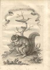 Foto de  América en una joya bibliográfica del Siglo XVIII.