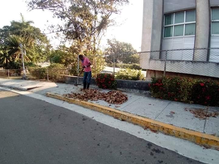 Foto de Los trabajadores de la Biblioteca Nacional de Cuba José Martí continúan realizando labores internas en la institución