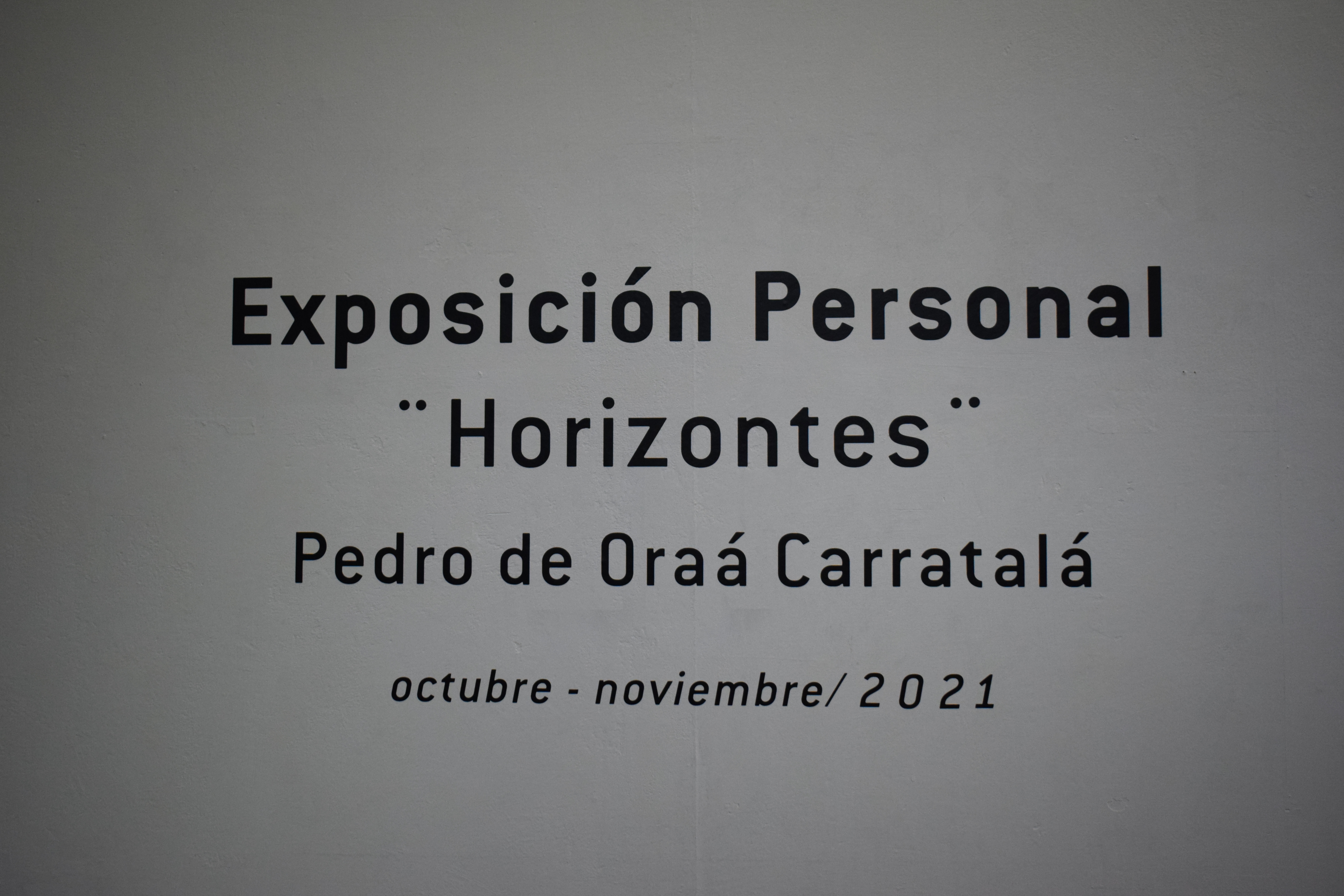 Foto de Inaugurada la exposición Horizontes de Pedro de Oraá